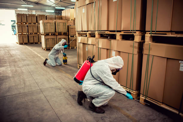 Best Ant Control Services  in Holstein, IA