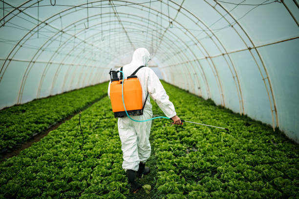Pest Prevention Services in Holstein, IA