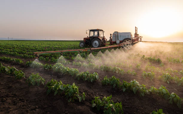 Best Pest Control Near Me in Holstein, IA