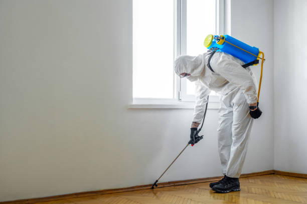 Best Affordable Pest Control Services  in Holstein, IA