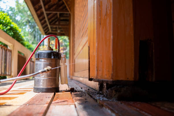Best Cockroach Control Services  in Holstein, IA