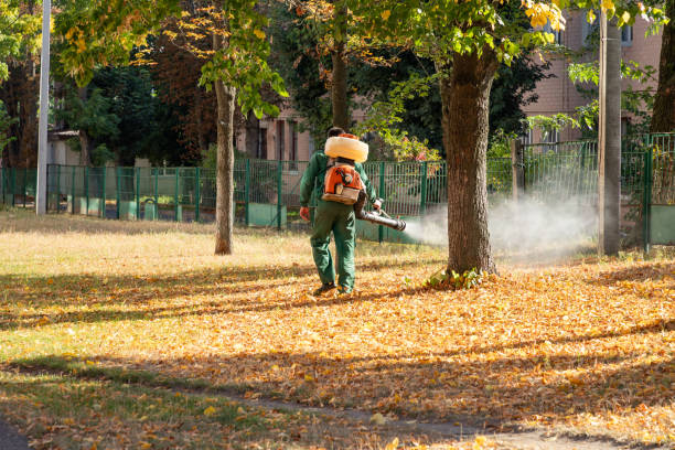 Best Affordable Pest Control Services  in Holstein, IA