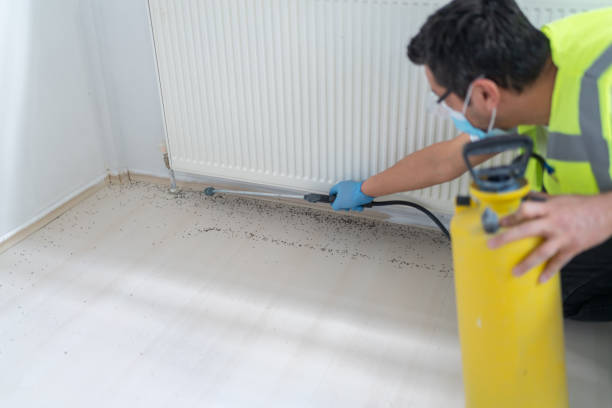 Best Affordable Exterminators  in Holstein, IA